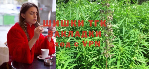 прущая мука Алзамай
