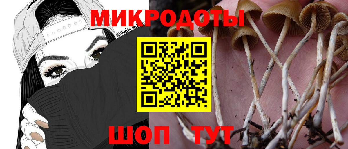 Кропоткин  Галлюциногенные грибы Cubensis  Галлюциногенные грибы мухоморы  Вход с VPN 