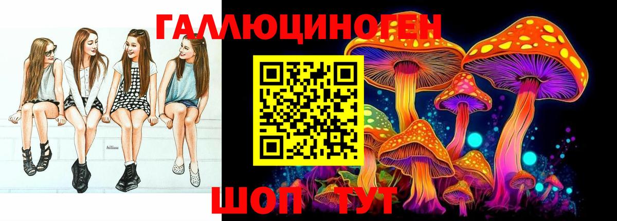 Псилоцибиновые грибы Cubensis Кропоткин